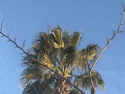 148-30-12-2025 IMG_3332